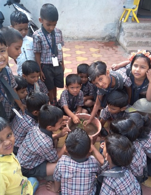 Flower Pot Activity